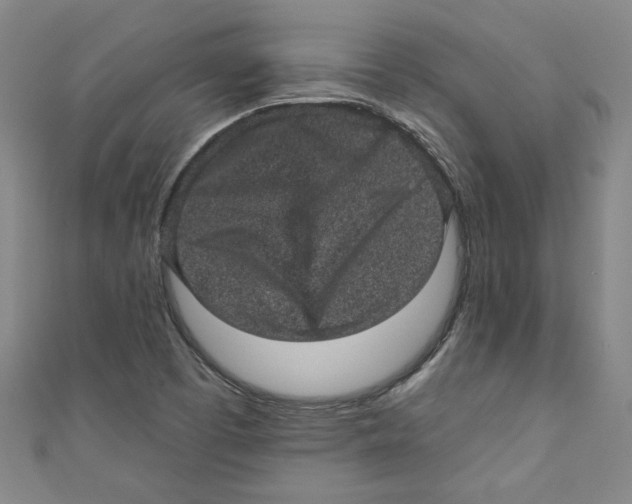 X0000110941457200907171558