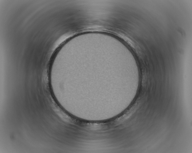 X0000110941458200907171558