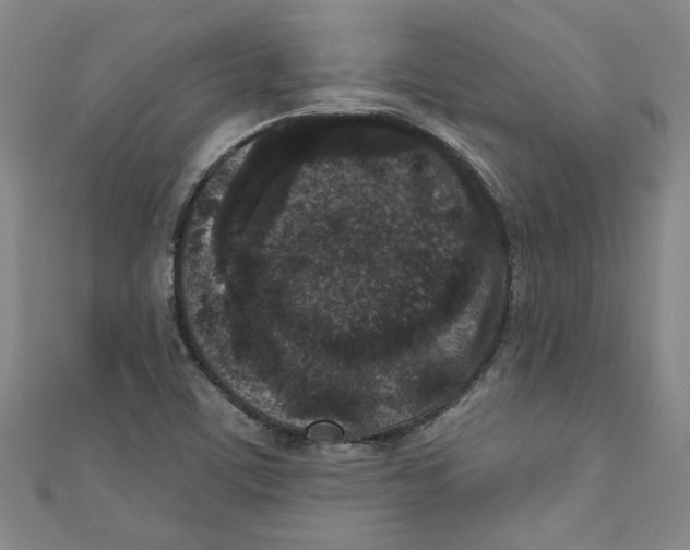 X0000110941459200907171558