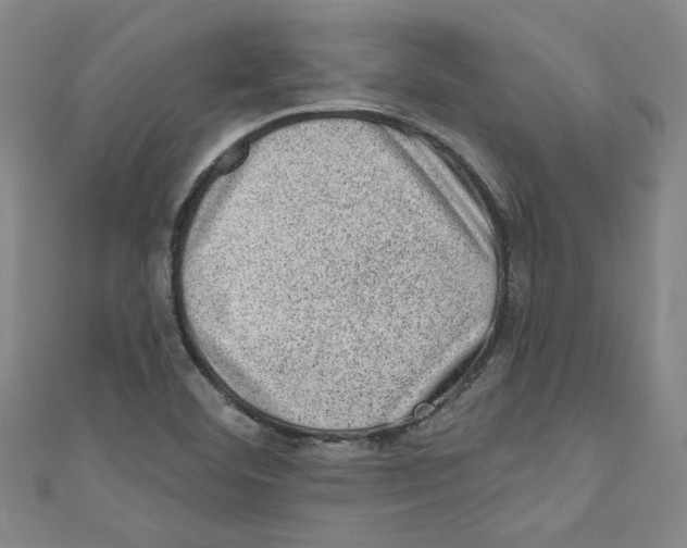 X0000110941460200907171558