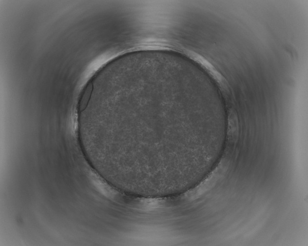 X0000110941461200907171558