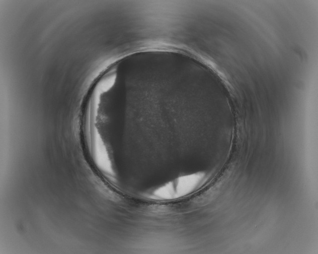 X0000110941463200907171558