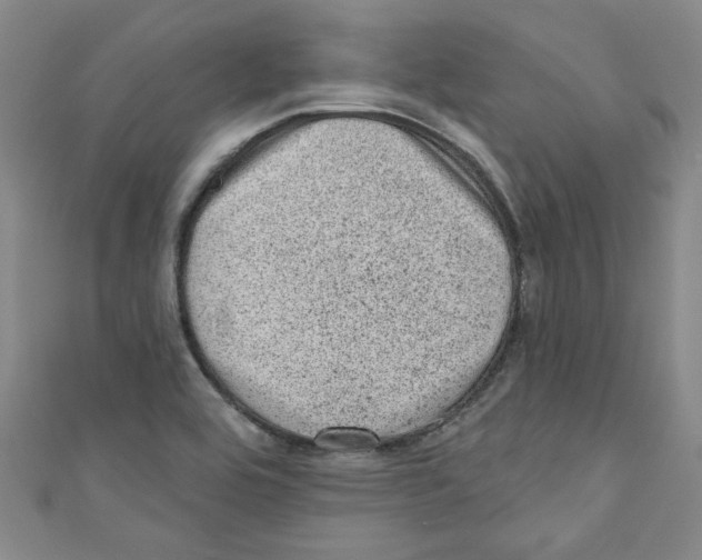 X0000110941464200907171558
