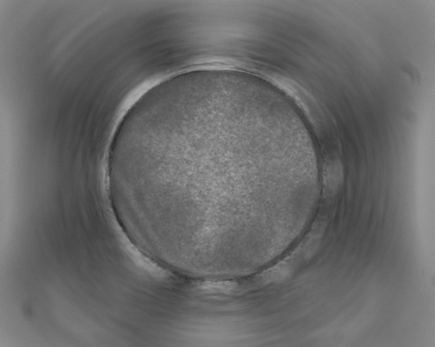 X0000110941466200907171558
