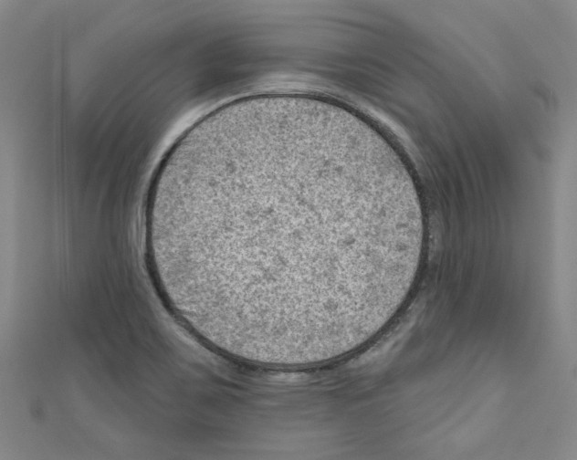 X0000110941467200907171558