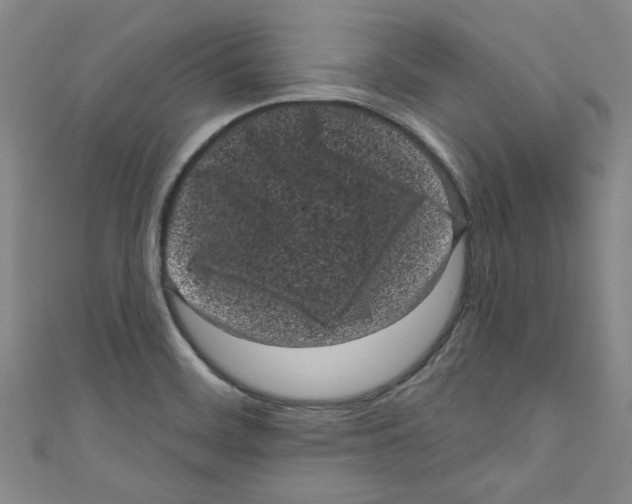 X0000110941468200907171558