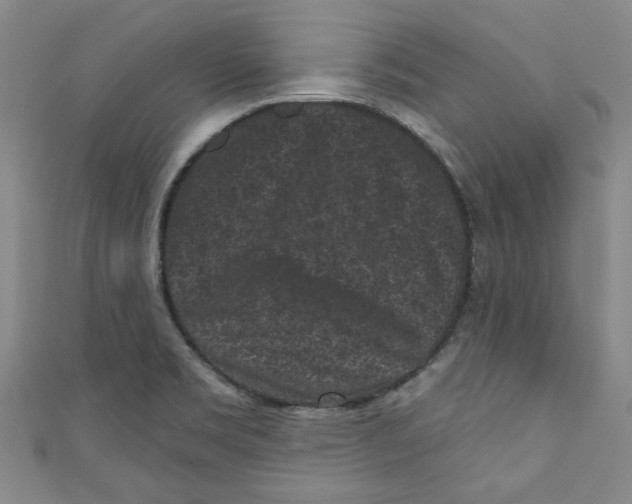 X0000110941469200907171558