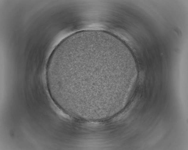X0000110941470200907171558