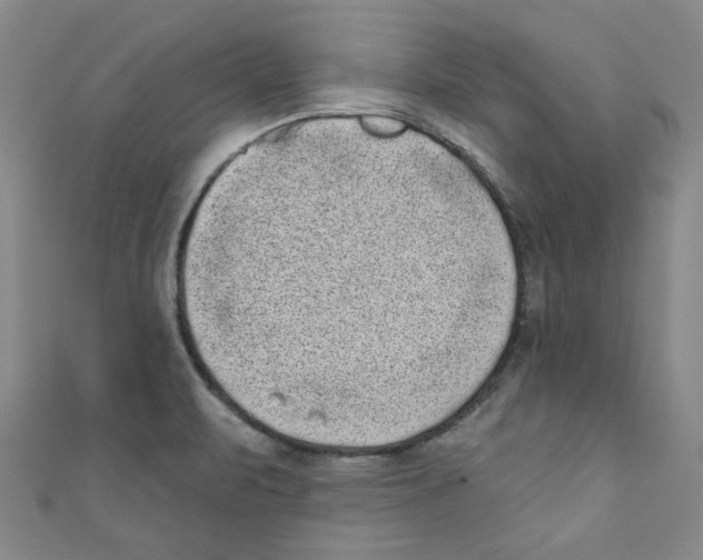 X0000110941471200907171558