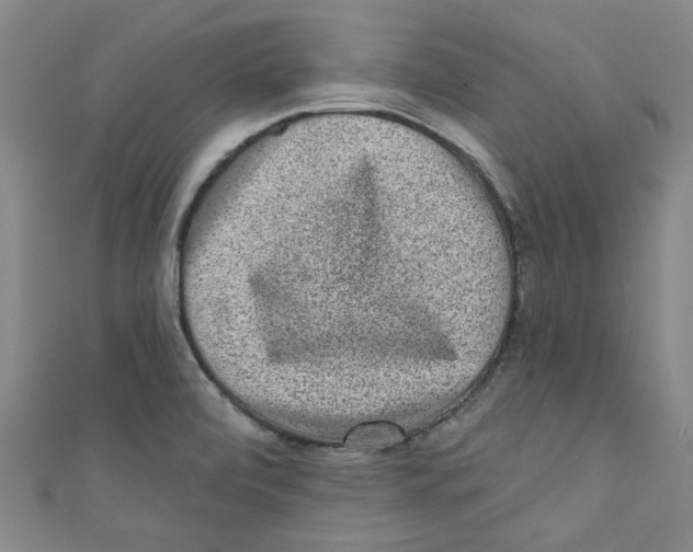 X0000110941472200907171558
