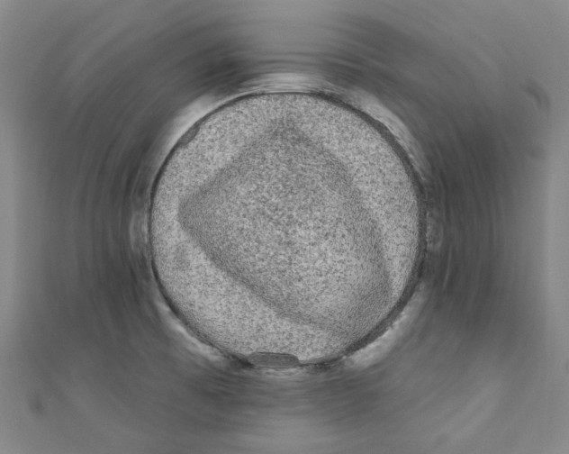 X0000110941473200907171558