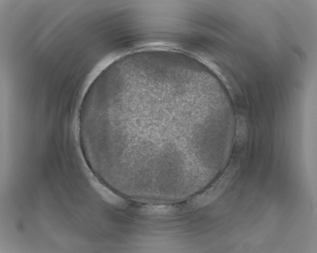 X0000110941474200907171558