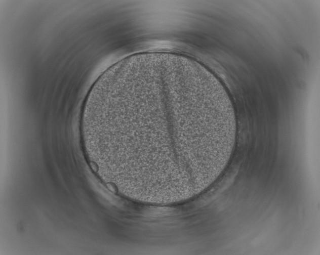 X0000110941475200907171558