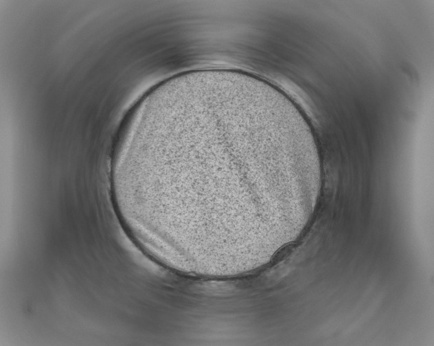 X0000110941476200907171558