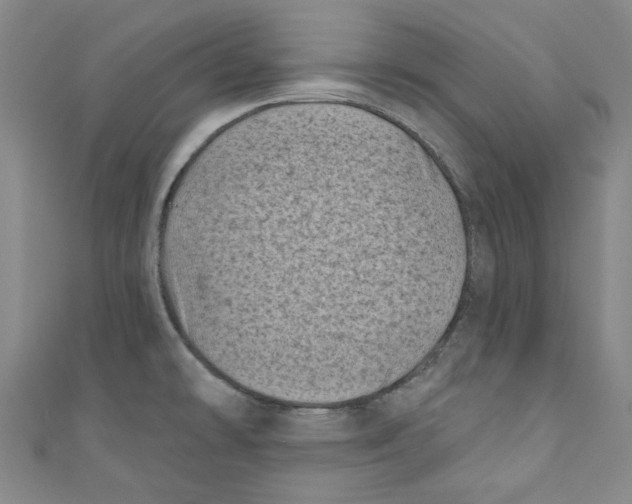 X0000110941478200907171558