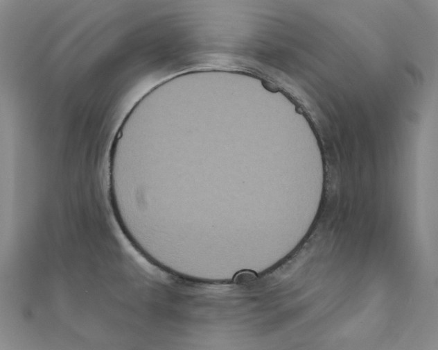 X0000110941479200907171558