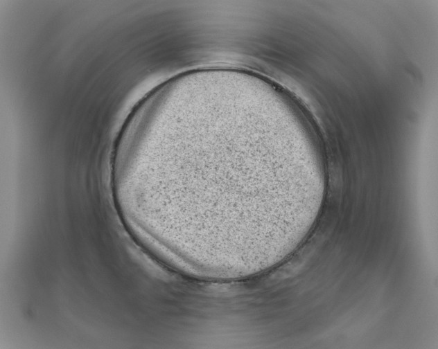 X0000110941480200907171558