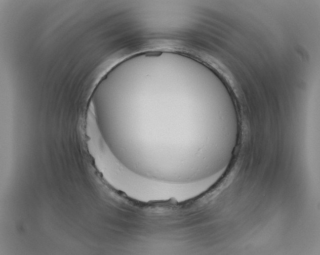 X0000110941481200907171558