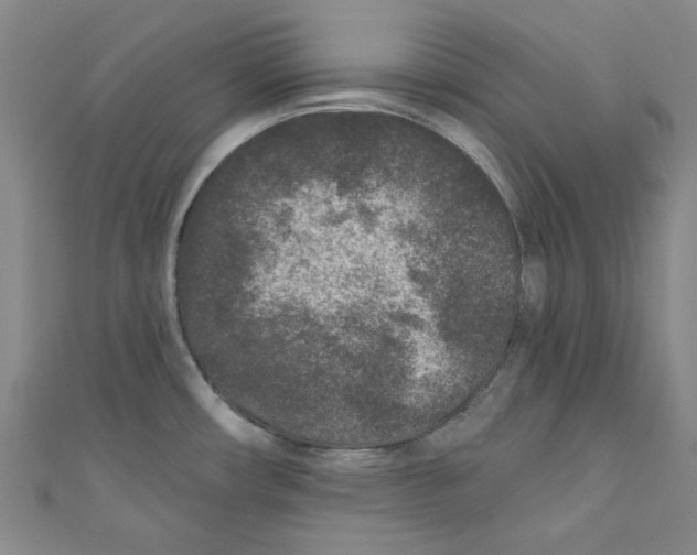 X0000110941482200907171558
