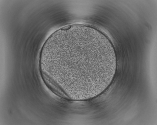 X0000110941483200907171558