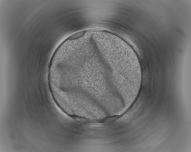 X0000110941484200907171558