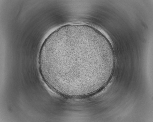 X0000110941485200907171558