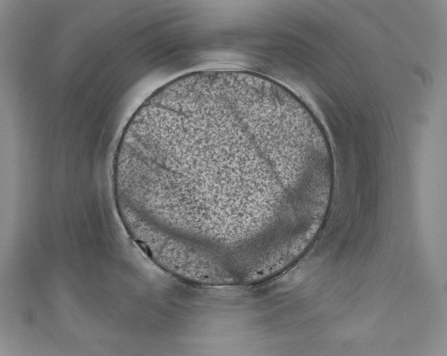 X0000110941488200907171558