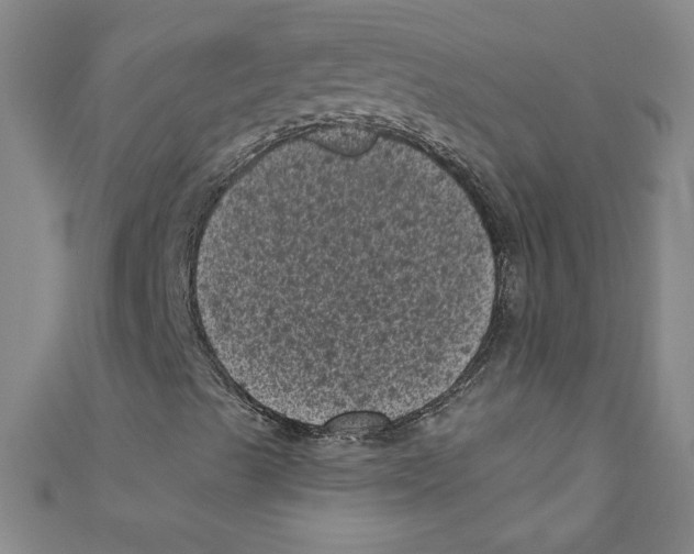 X0000110941489200907171557
