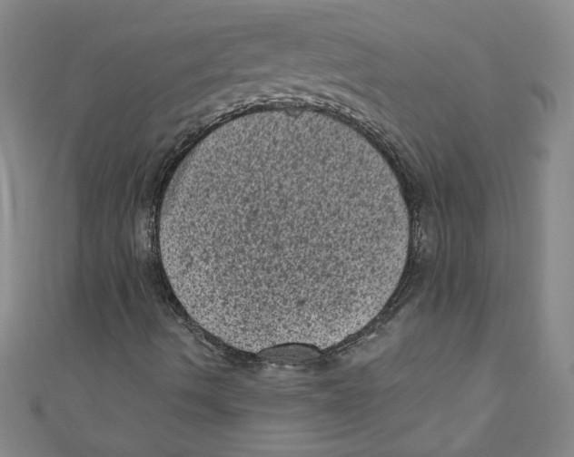 X0000110941490200907171557