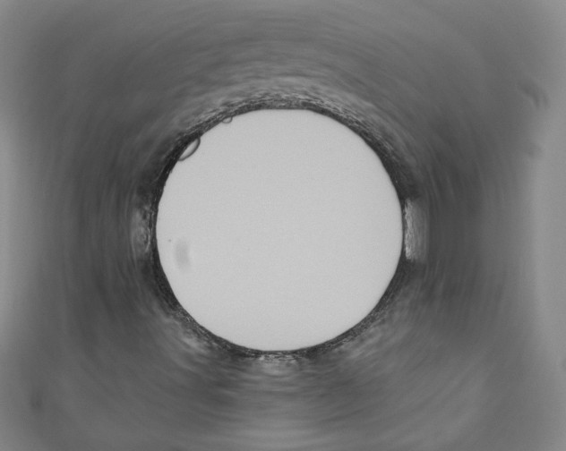 X0000110941491200907171557