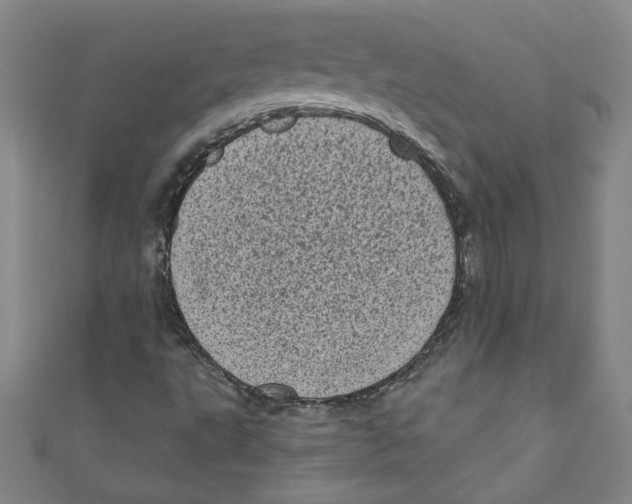X0000110941495200907171557