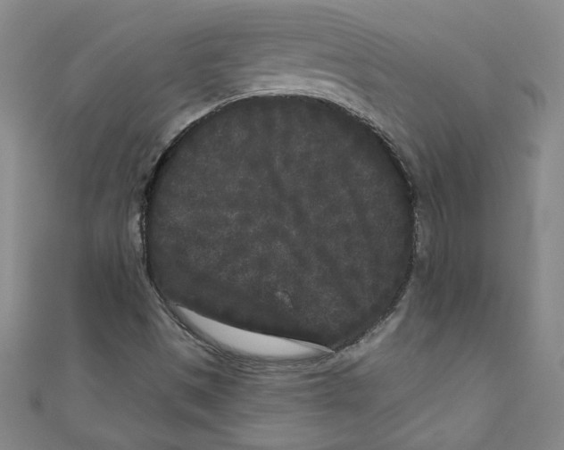 X0000110941497200907171557
