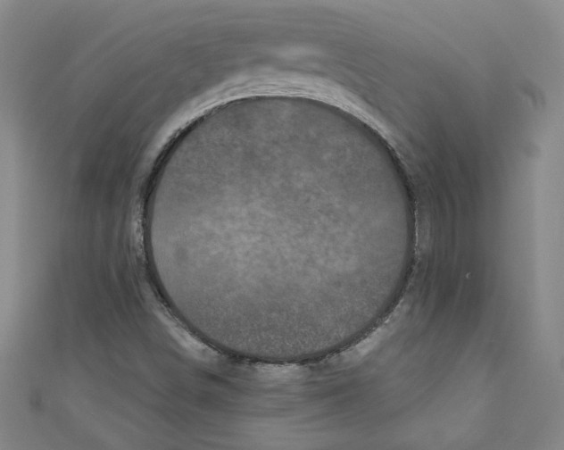 X0000110941498200907171557