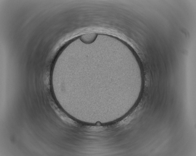 X0000110941499200907171557