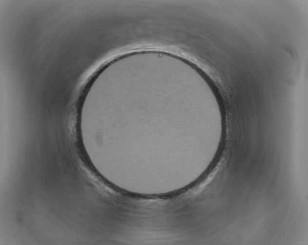 X0000110941502200907171557