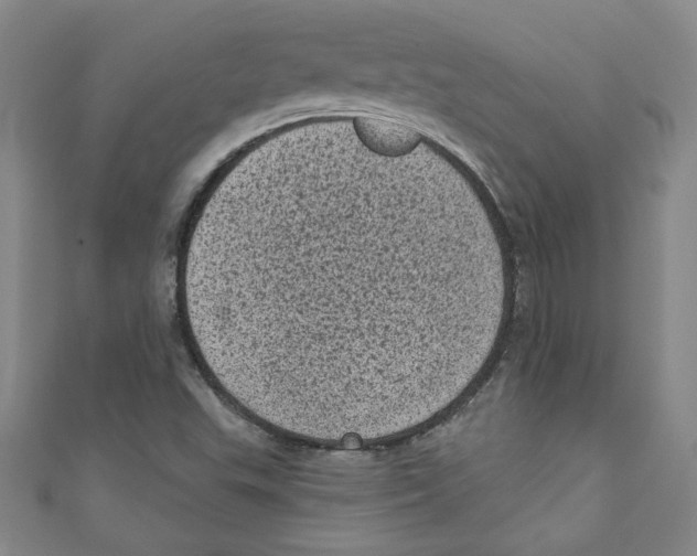 X0000110941503200907171557