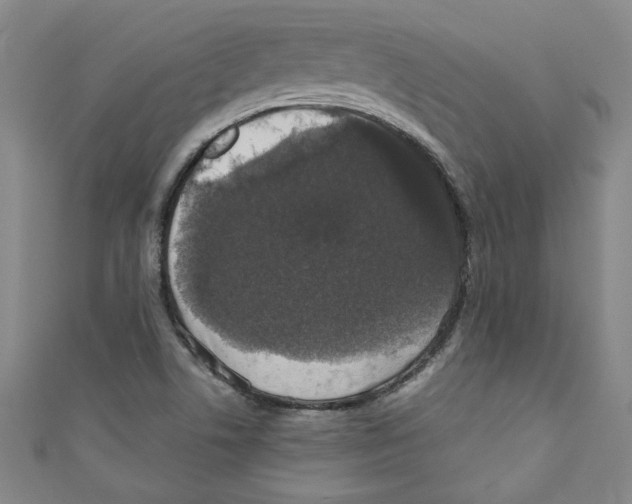 X0000110941506200907171557