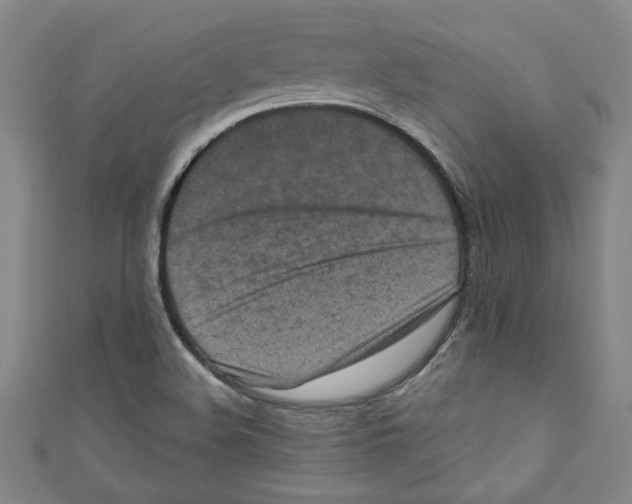 X0000110941508200907171557