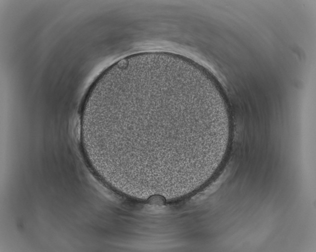 X0000110941509200907171557