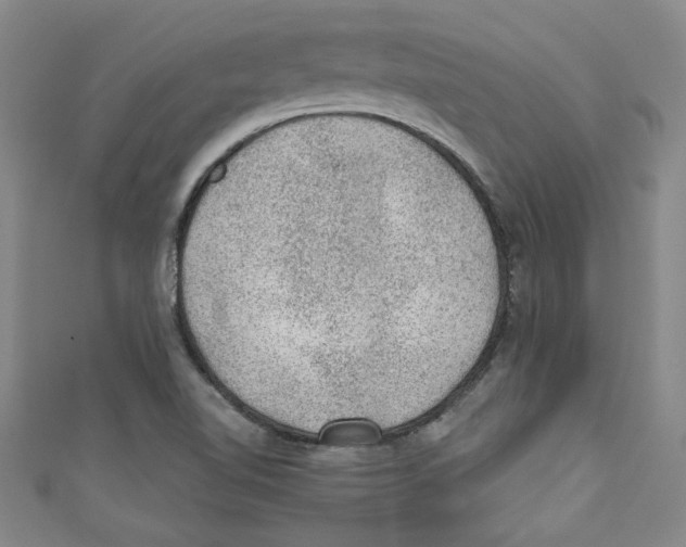 X0000110941510200907171557