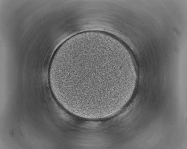 X0000110941513200907171557