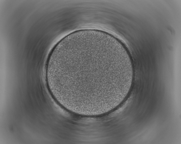 X0000110941517200907171557