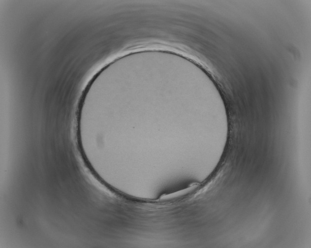 X0000110941518200907171557