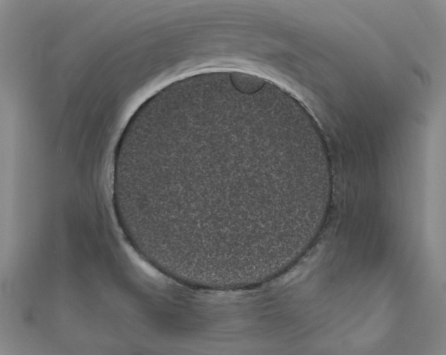 X0000110941519200907171557