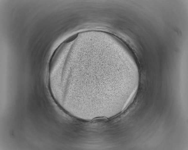 X0000110941520200907171557