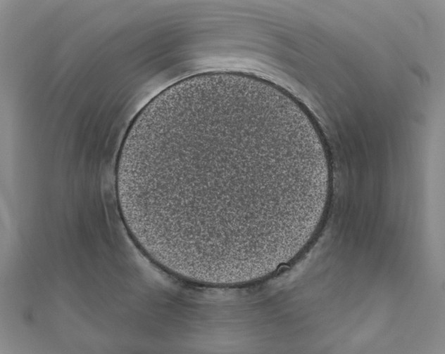 X0000110941521200907171557