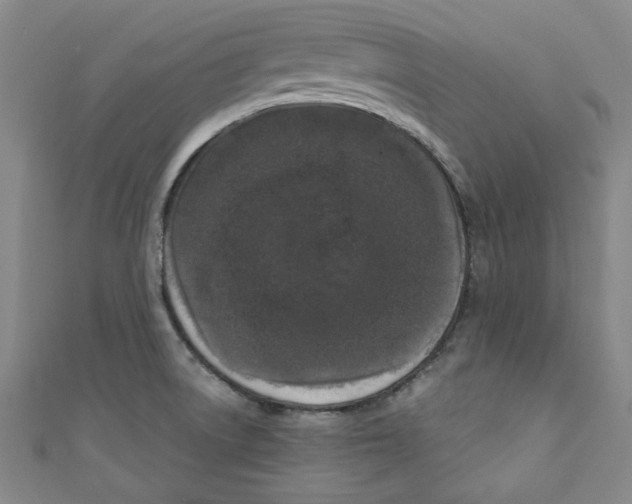X0000110941522200907171557
