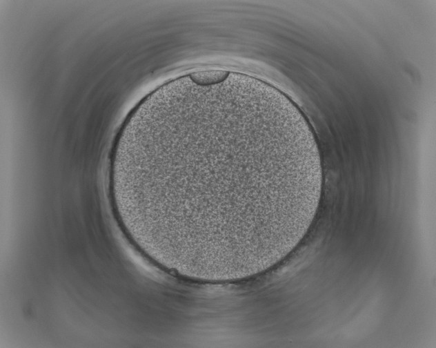 X0000110941523200907171558