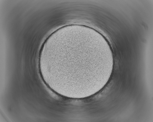X0000110941525200907171558