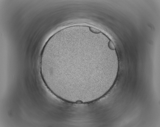 X0000110941526200907171558
